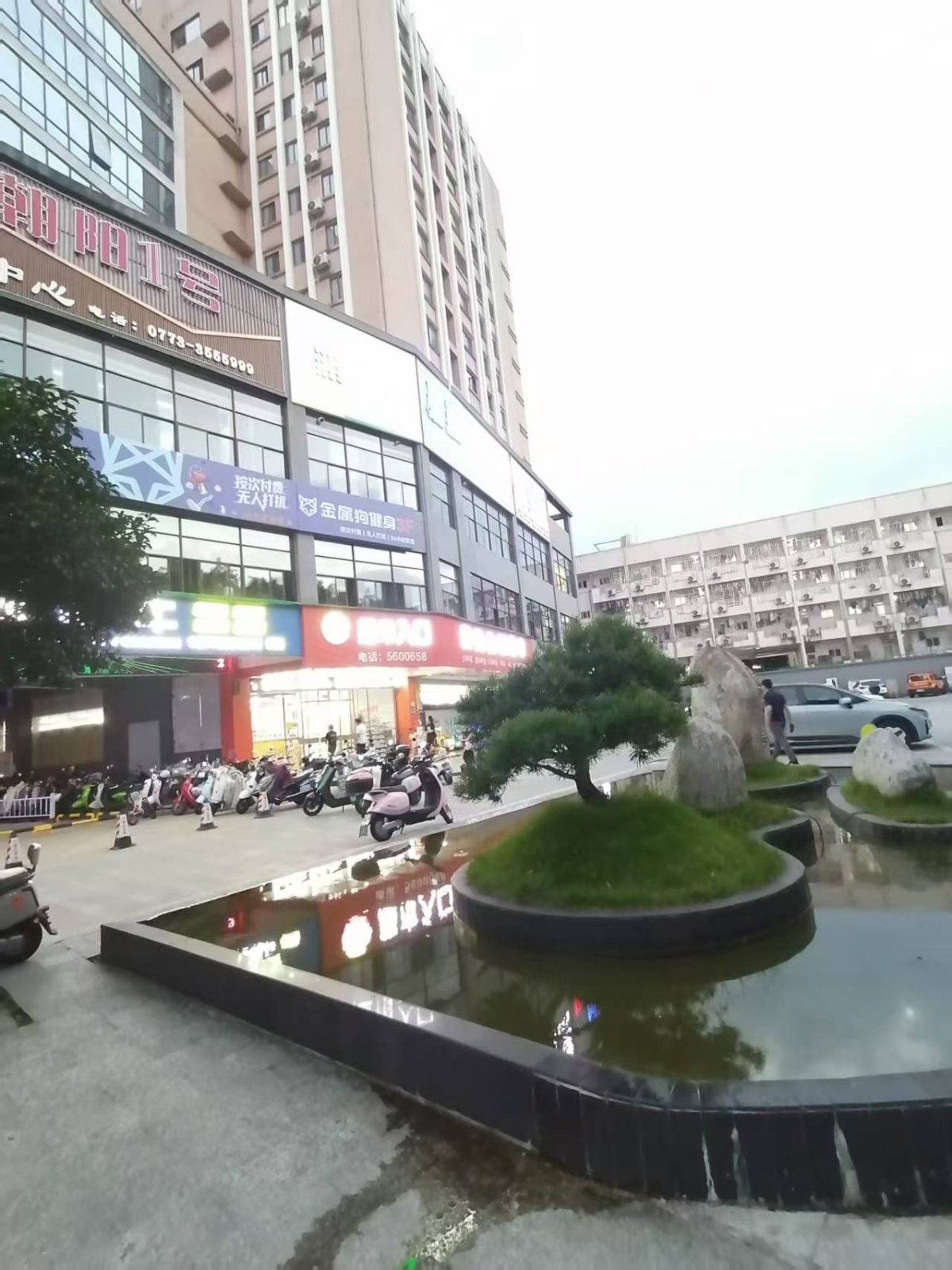 朝阳1号 缩略图2