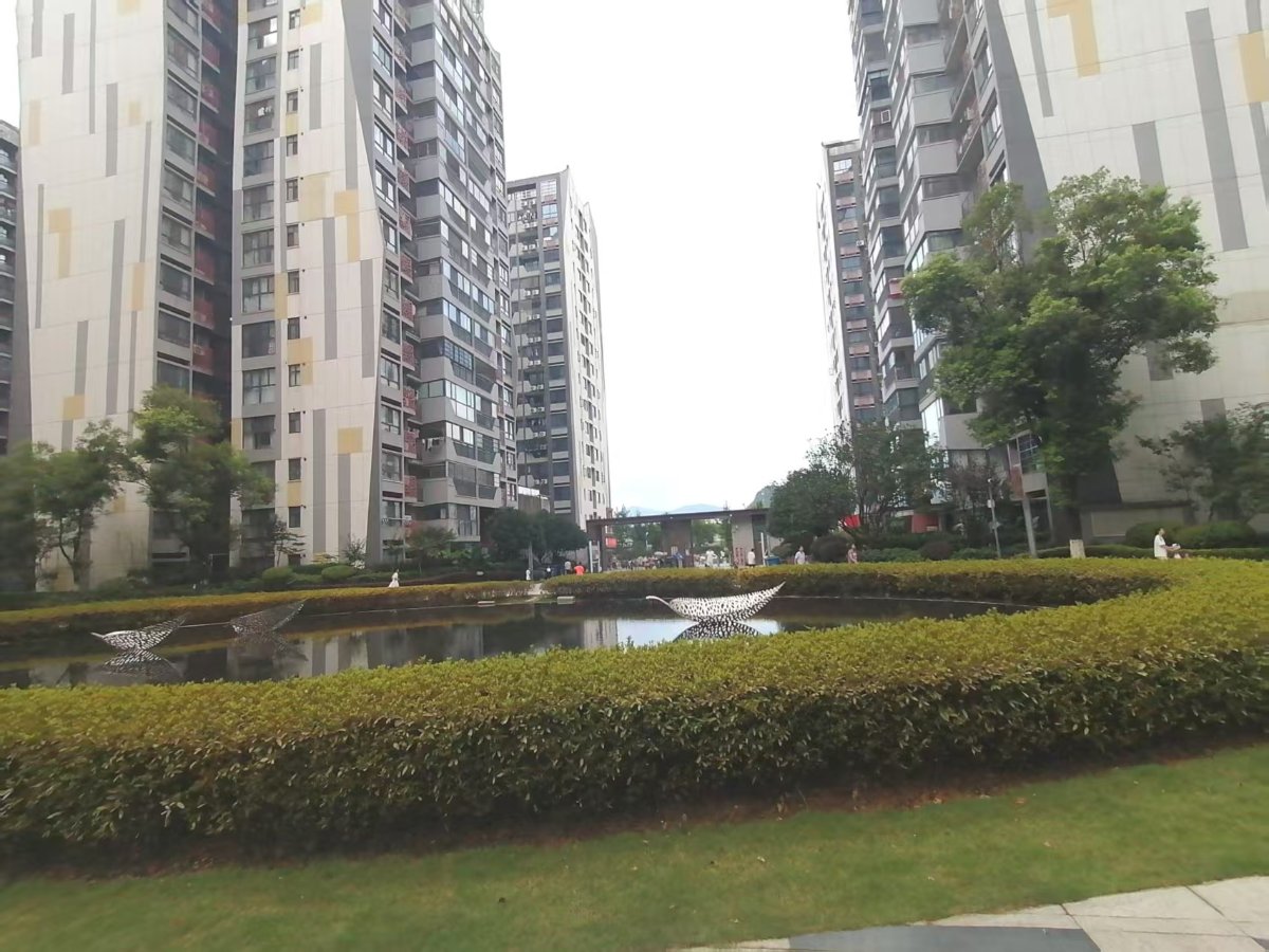 棠棣之华 缩略图3