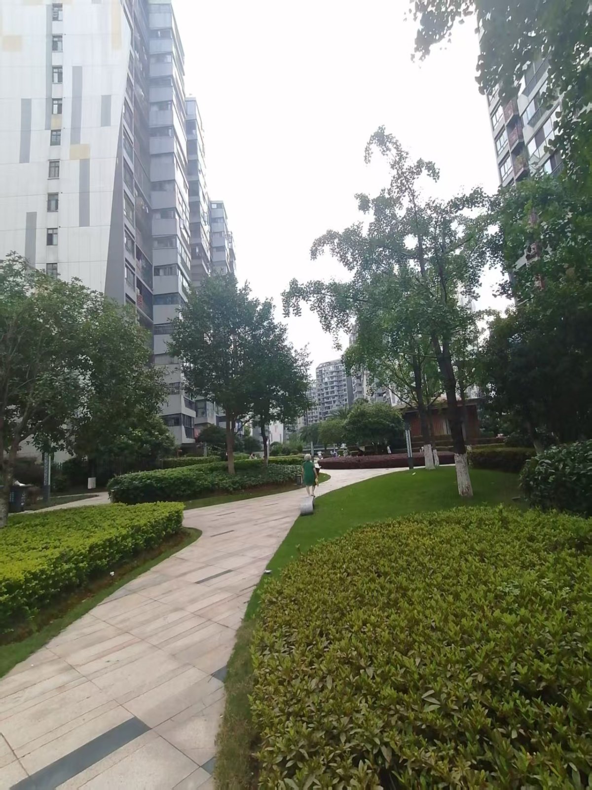 棠棣之华 缩略图4