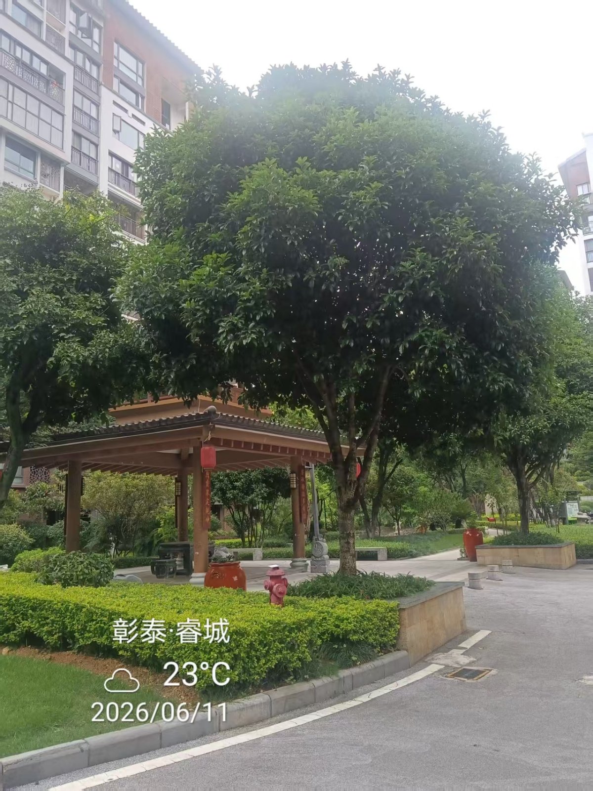彰泰睿城 小区图片