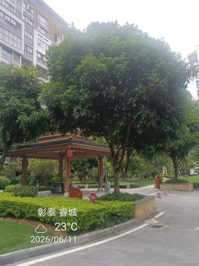 彰泰睿城