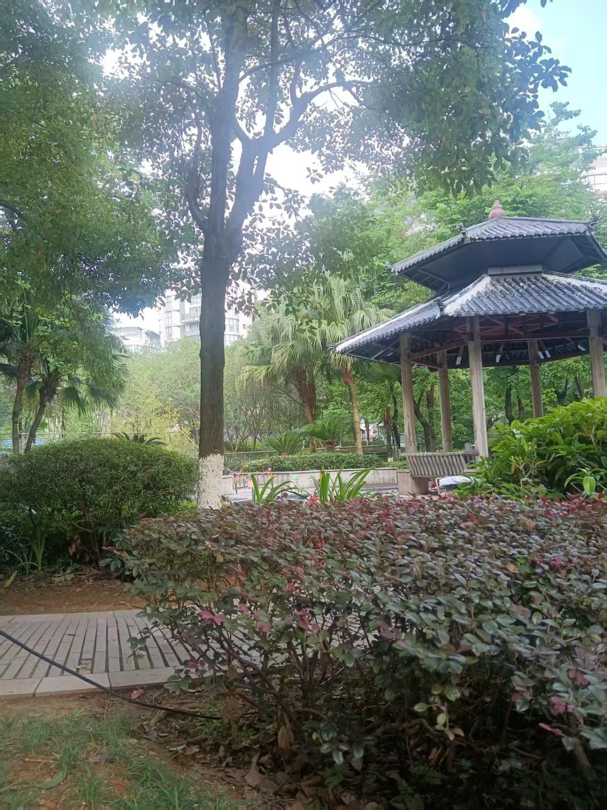 金地怡和东岸 小区图片