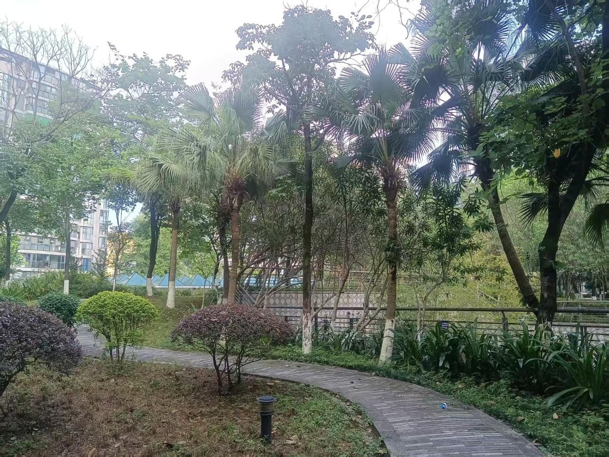 金地怡和东岸 缩略图4