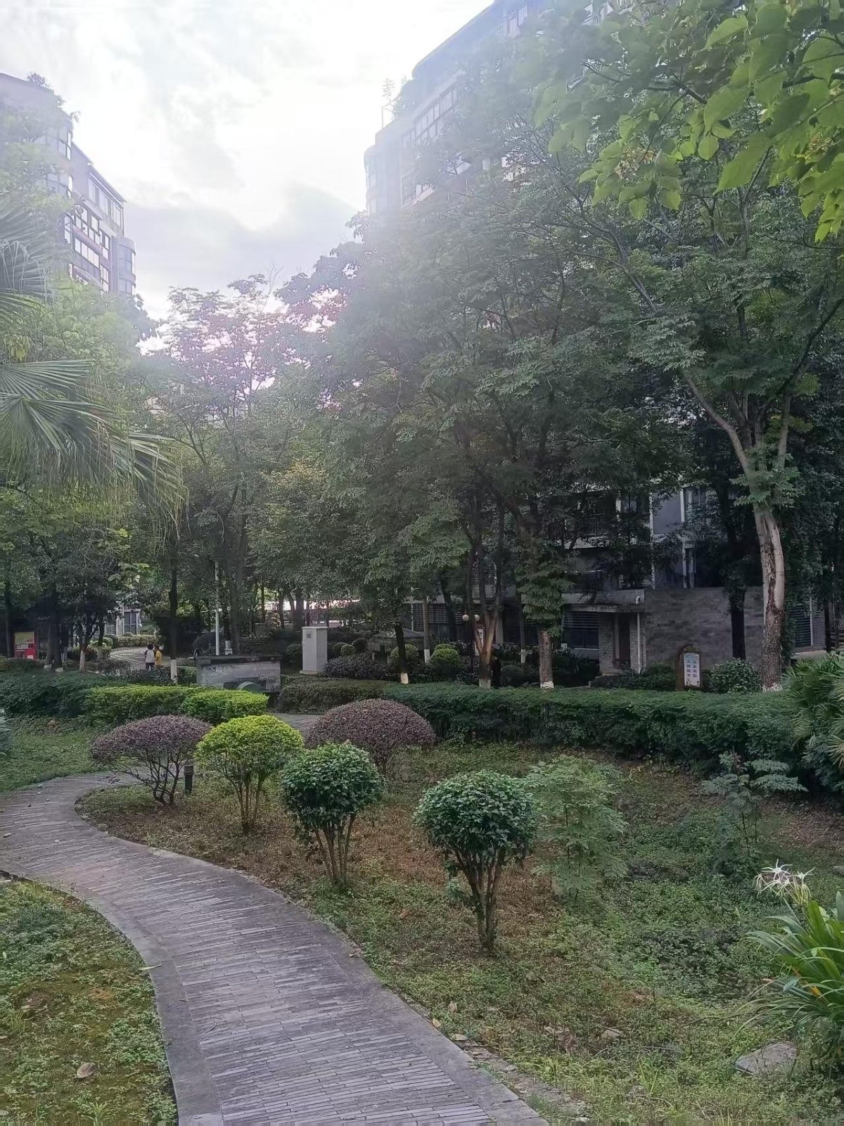 金地怡和东岸 缩略图6