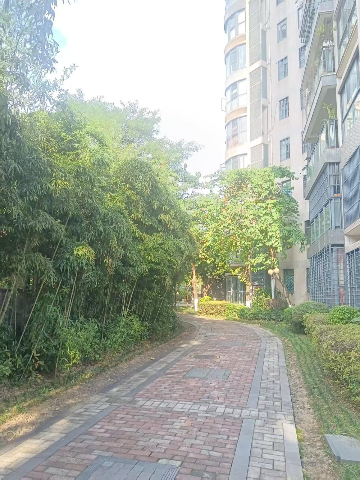 金地怡和东岸 缩略图2