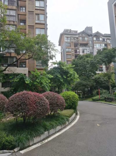 彰泰春天