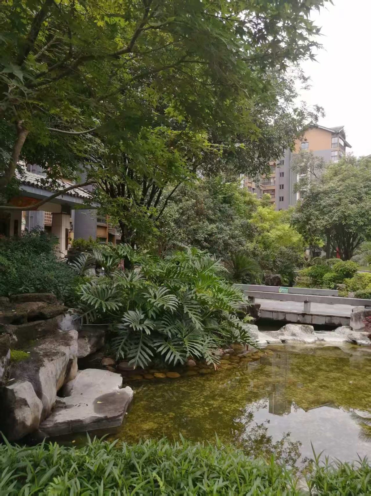 彰泰春天 缩略图4