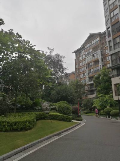 彰泰春天唐悦