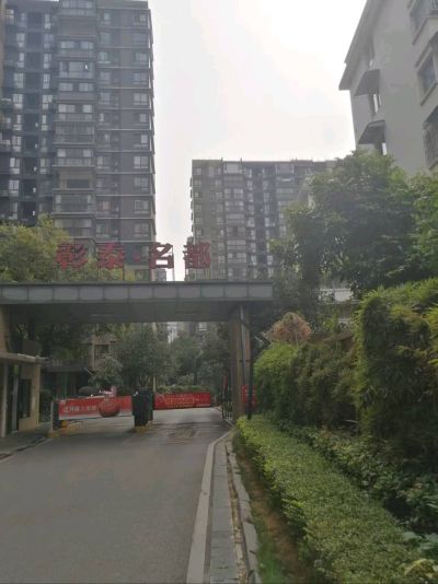 彰泰名都