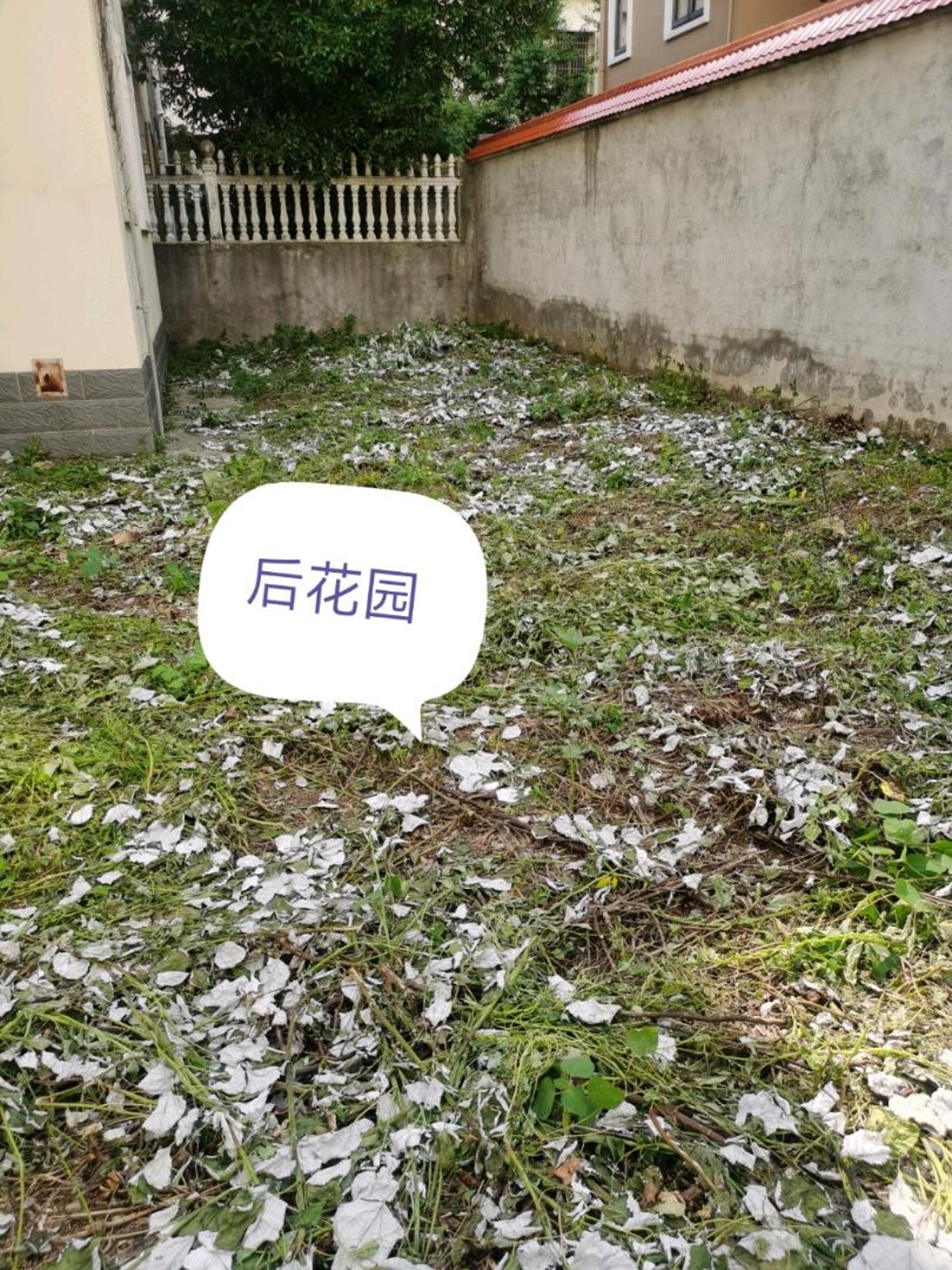 宏福园别墅 334平南向阳光房 6室3厅4卫 毛坯自由设计 缩略图8