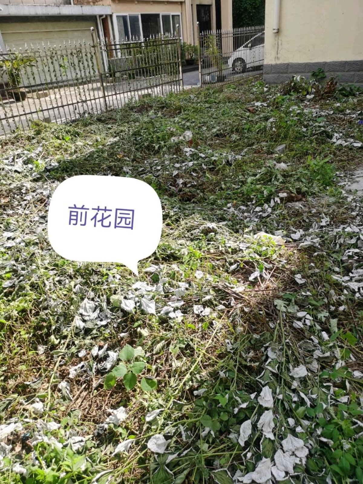 宏福园别墅 334平南向阳光房 6室3厅4卫 毛坯自由设计 缩略图9