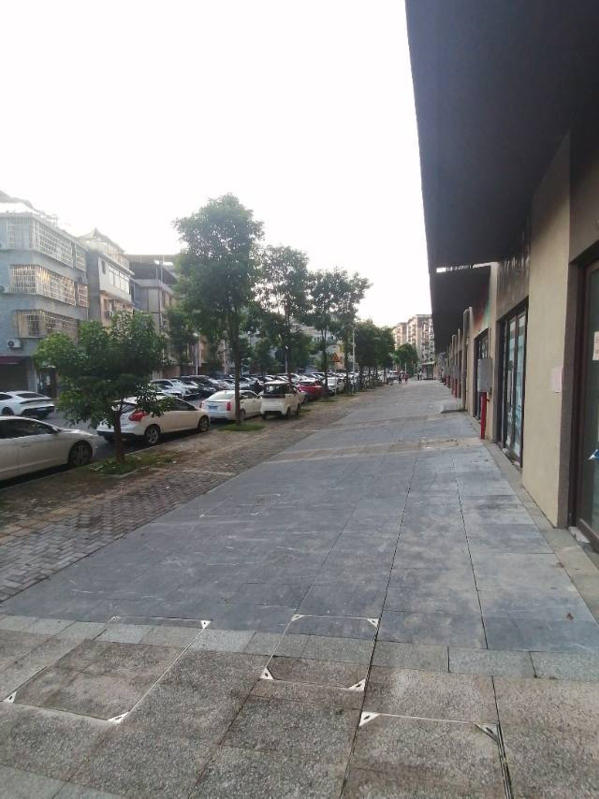 兴进漓江壹号龙腾阁 临街商铺 毛坯现房 即买即用 缩略图3